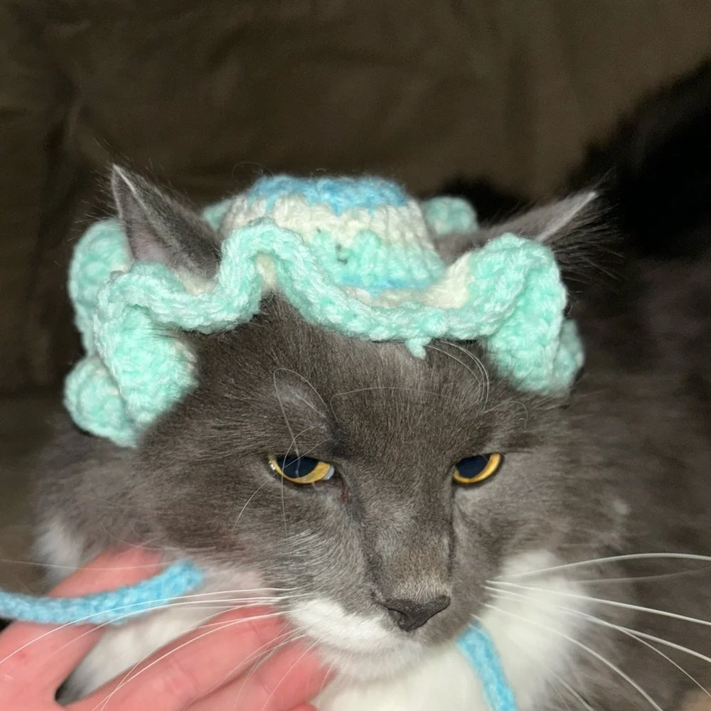 HANDMADE cat bonet bucket hat for cats cat accessories